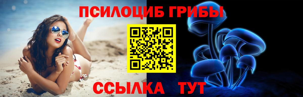 Псилоцибиновые грибы Psilocybine cubensis Ирбит