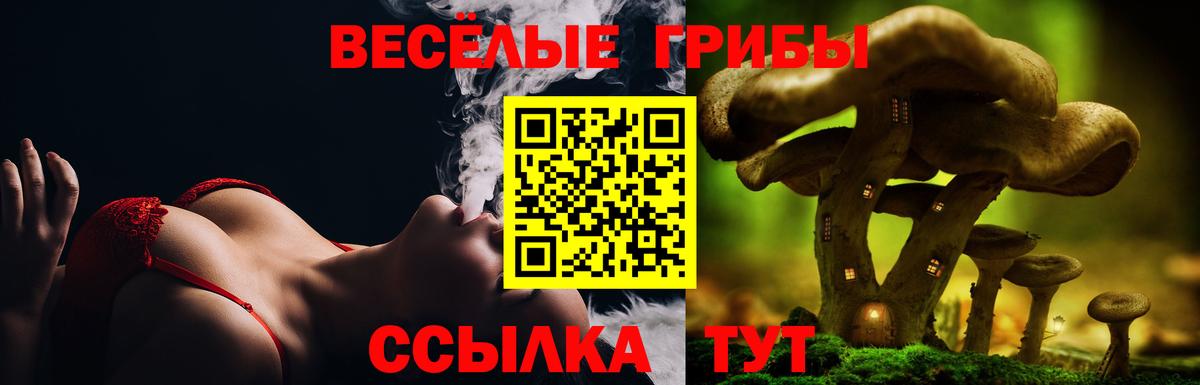 Галлюциногенные грибы GOLDEN TEACHER  Вход с VPN  Ирбит 